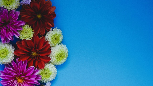 美结合的体 美结合的体