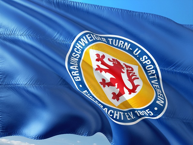 唐斯和安东 唐斯和安东