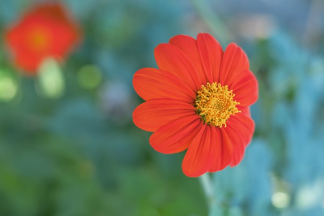 的中前场球 的中前场球