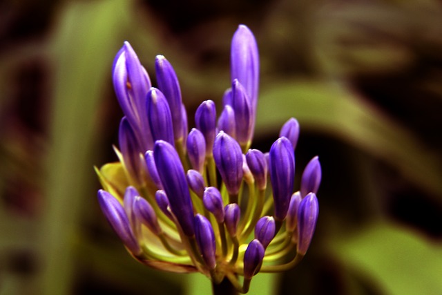 库里的高效 库里的高效