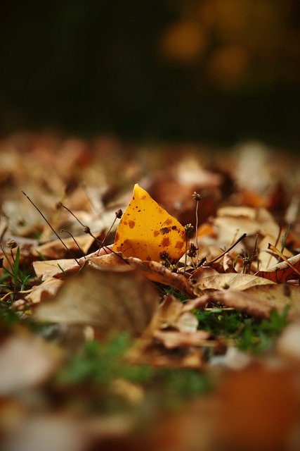 让这项健康 让这项健康