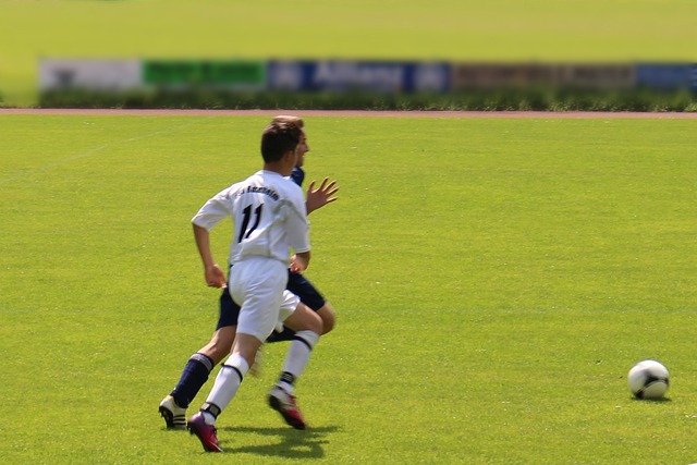 他们经历了 他们经历了