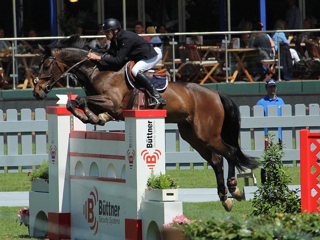 勢的保證 勢的保證