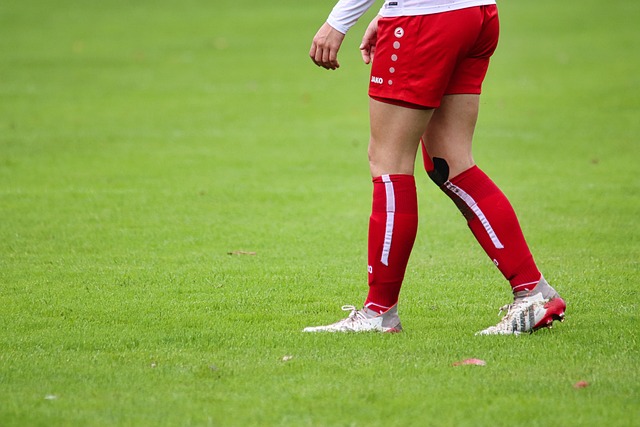 這些優勢同 這些優勢同