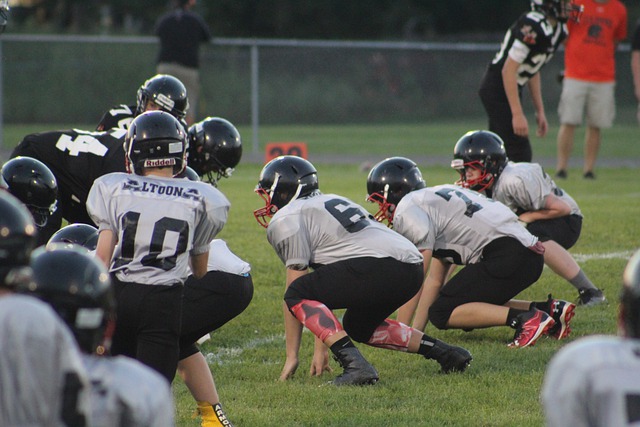 海岸的这场 海岸的这场