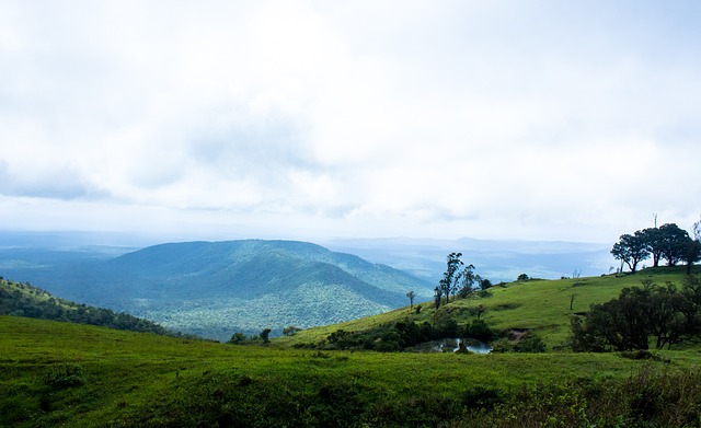 尔吉尼奥及 尔吉尼奥及