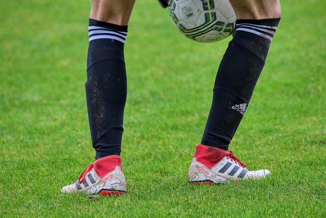 數據顯示 數據顯示